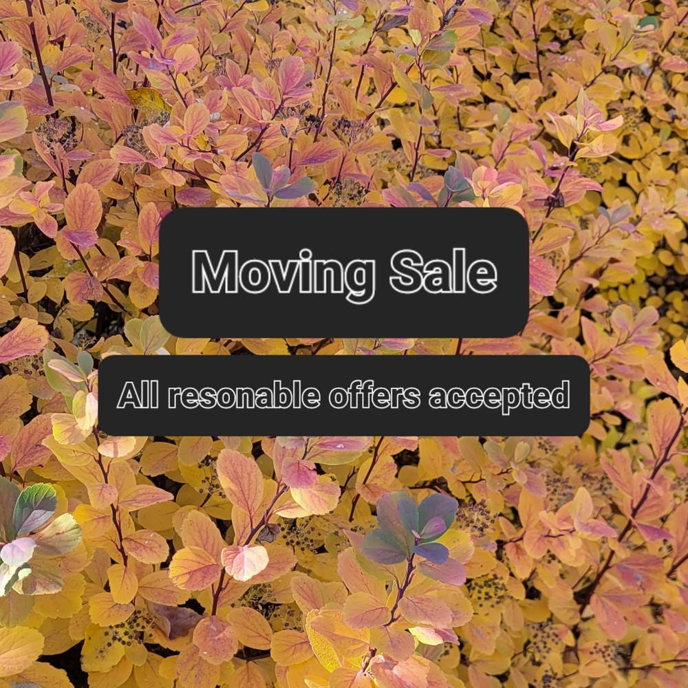 🍂Moving Sale! 🍂 All reasonable offers accepted!